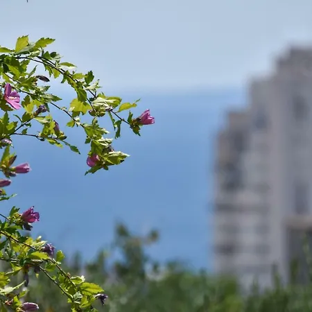 Apartment Neyra Split Exterior photo