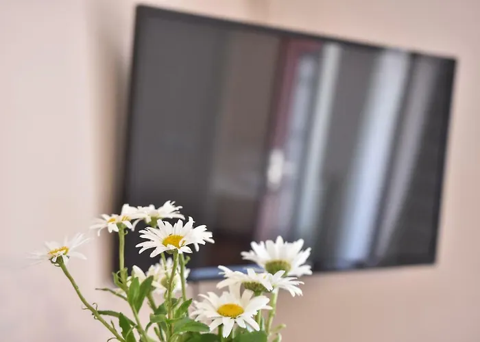 Apartment Neyra